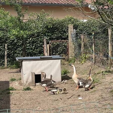 Location Dans Maison Familiale !! * Saint-Geours-de-Maremne
